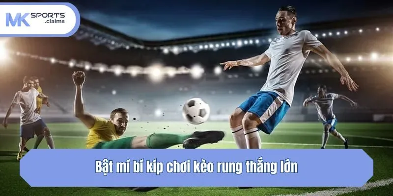 Bật mí bí kíp chơi kèo rung thắng lớn